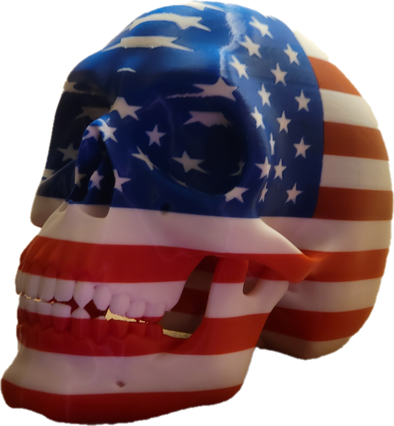 USA Skull (life-size)