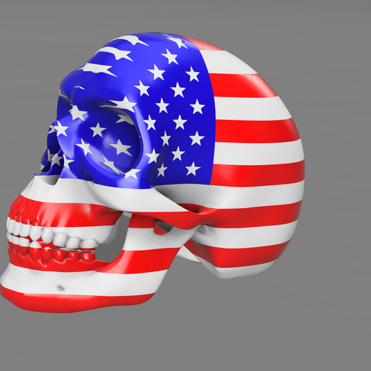 USA Skull (life-size)